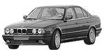 BMW E34 P1252 Fault Code